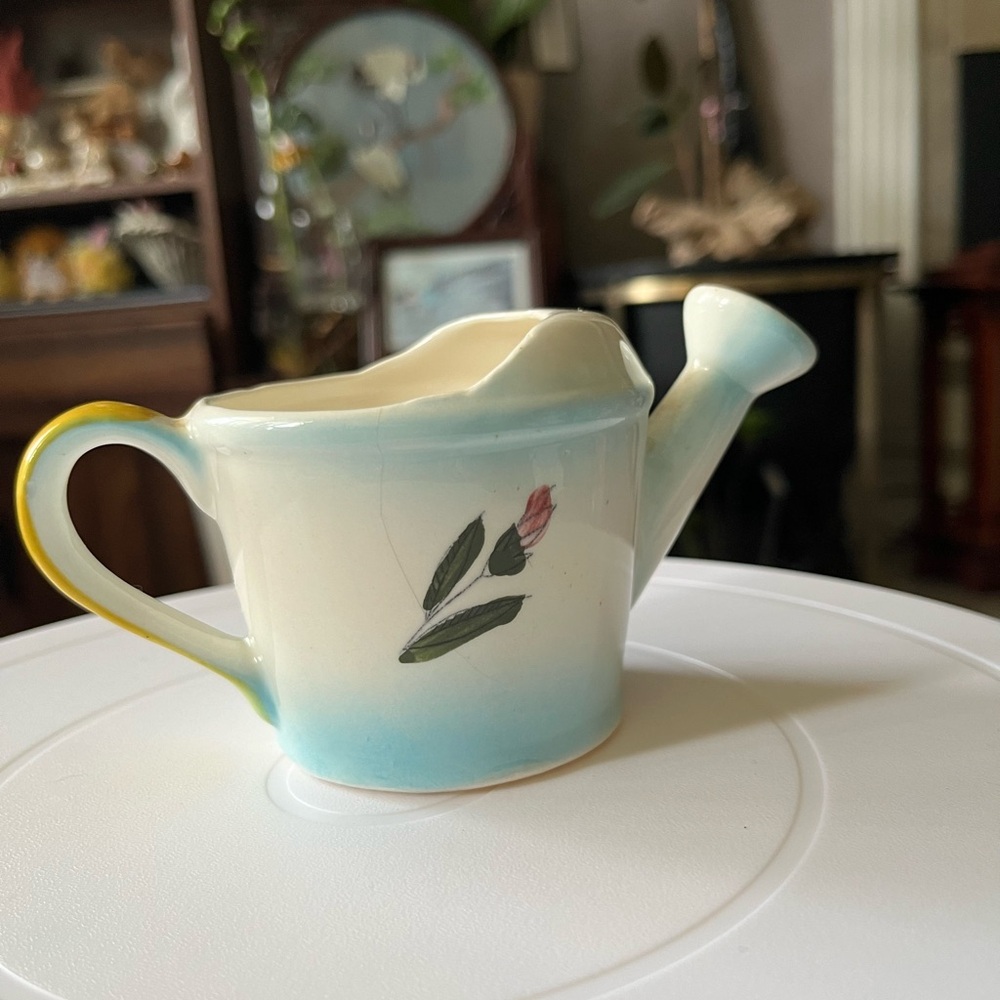 Mini Watering Pot - Picture 7 of 9